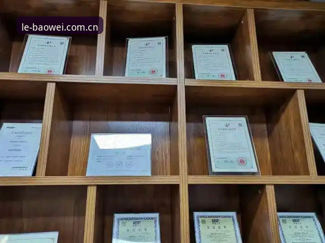 宝威品牌评价评测 6个维度深度解析:宝威品牌评价评测的真相与价值